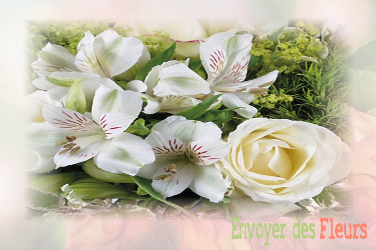 envoyer des fleurs à à SERVAVILLE-SALMONVILLE